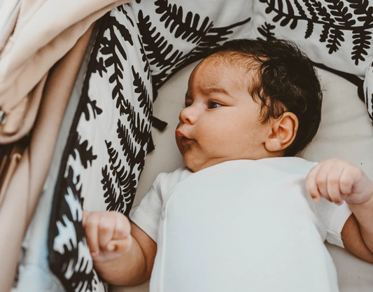 What Babies Really See: Infant Vision and Early Brain Development