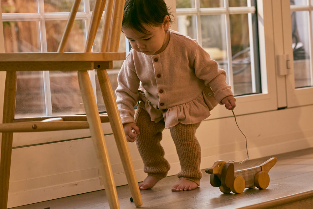 Wooden Pull Along Dachshund